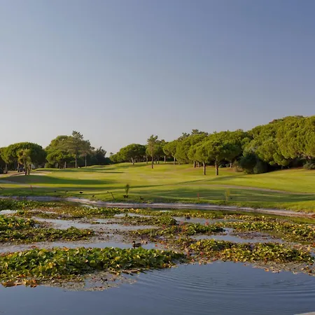 Meadow View Retreat Dom wakacyjny *