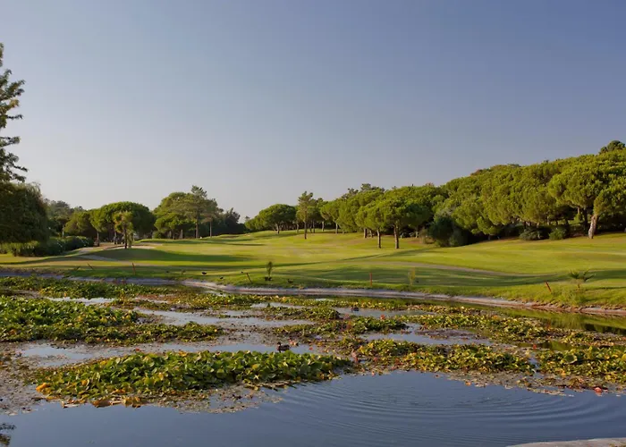 Meadow View Retreat Casa vacanze *