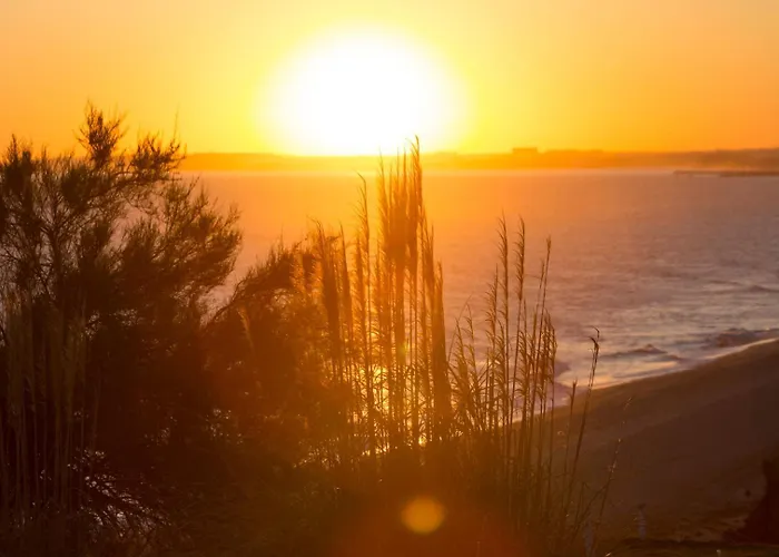 Meadow View Retreat *