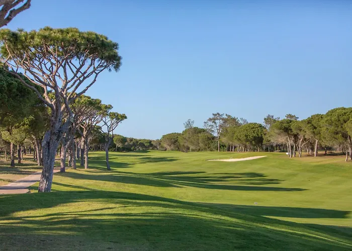 Meadow View Retreat 阿尔布费拉